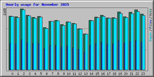 Hourly usage for November 2025