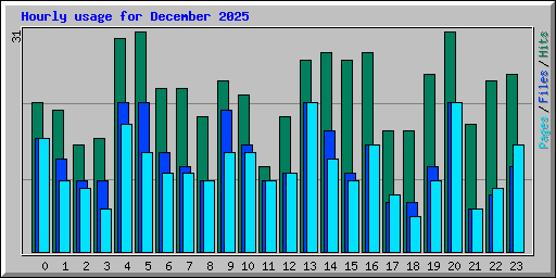 Hourly usage for December 2025