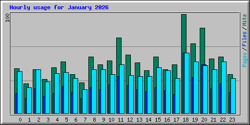 Hourly usage for January 2026